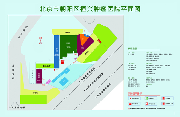 操逼操的爽的视频北京市朝阳区桓兴肿瘤医院平面图